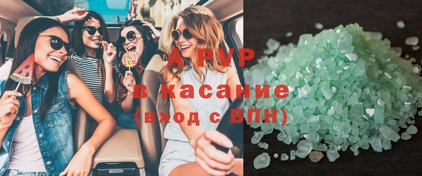 СК Каменногорск